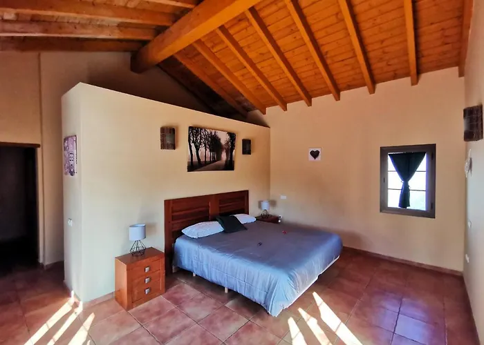 فيلة Magic House