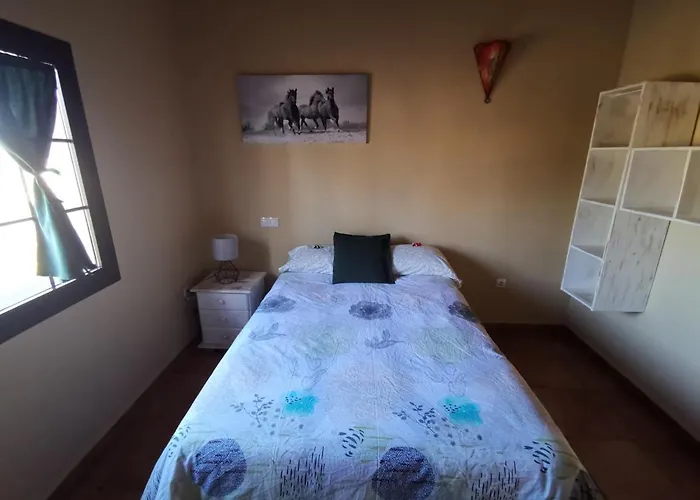 Magic House لا أوليفا