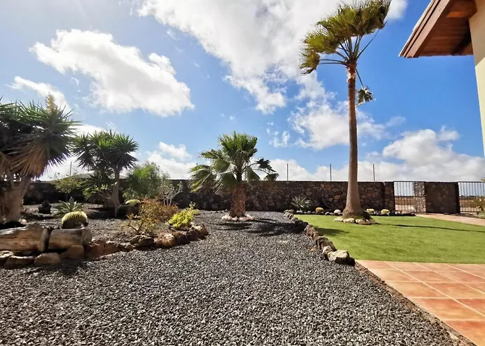 Magic House * لا أوليفا