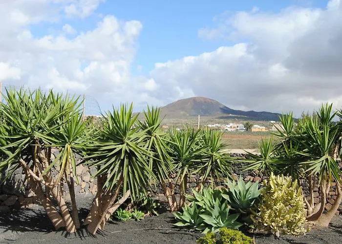 فيلة Magic House *